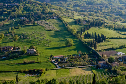 the countryside outside of Orvieto