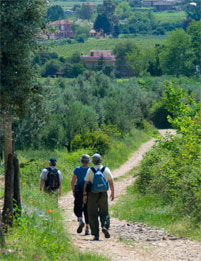 off the beaten track