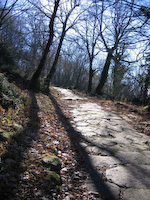 Roman road above Lake Nemi