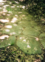 Roman paving, Via Clodia, Bracciano