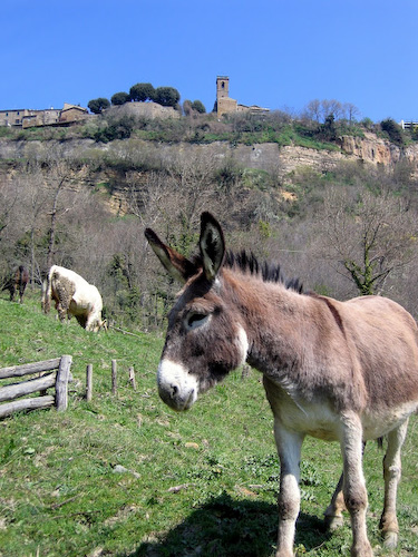 Below Civita