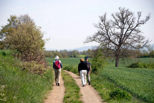 Walking to Orvieto