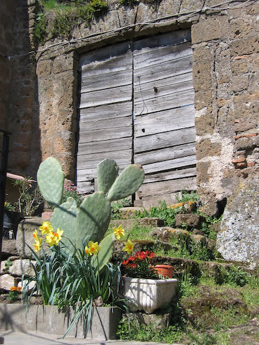 rock tombs