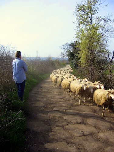 Roman road travelers