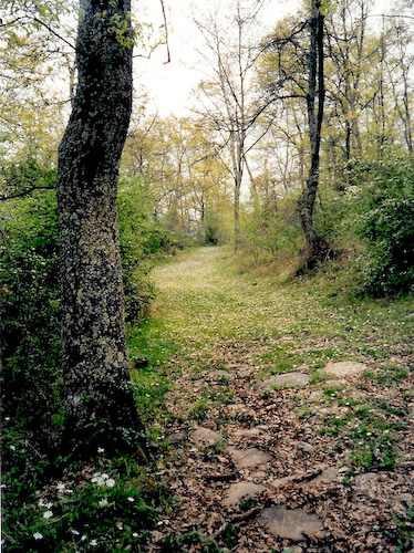 Via Clodia, Marturano Park