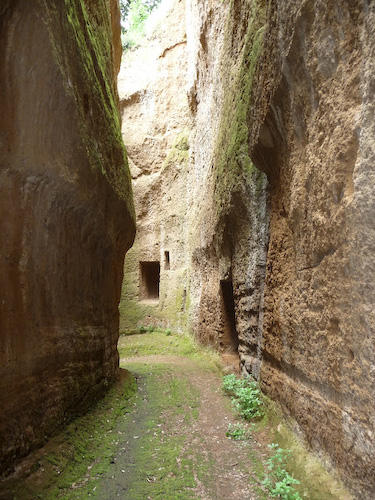 Faliscan road cut