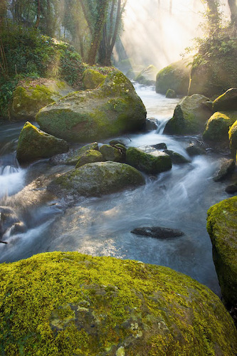 Treja River