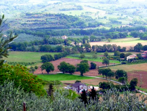 Umbria countryside