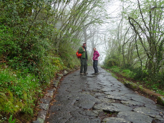 Via Sacra ascending Monte Cavo