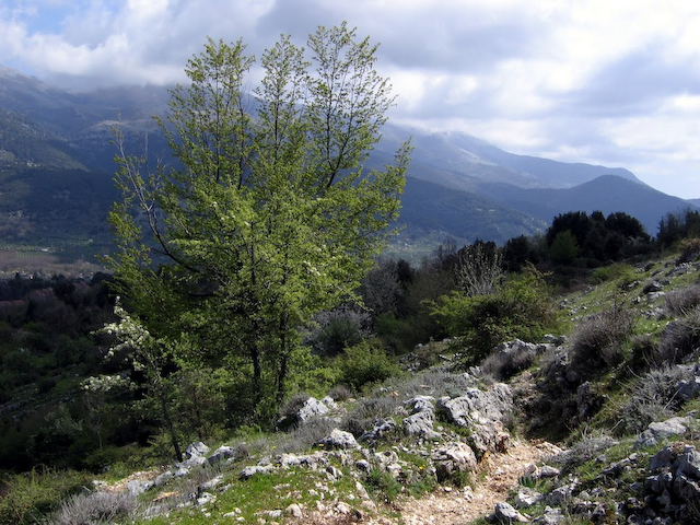 Trail to Bassiano