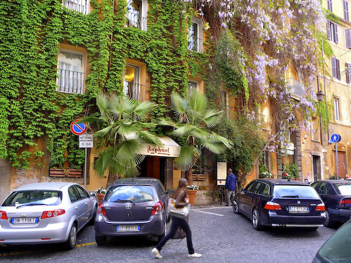 Street scene, ivy and wisteria