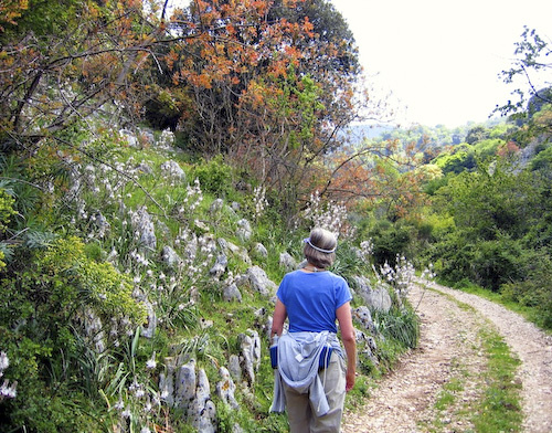 Cori countryside