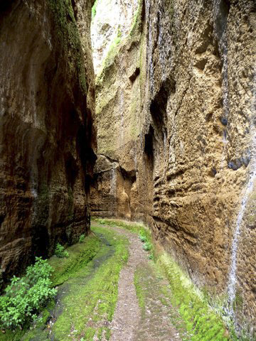 Faliscan road cut