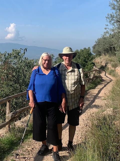 Olive grove walk
