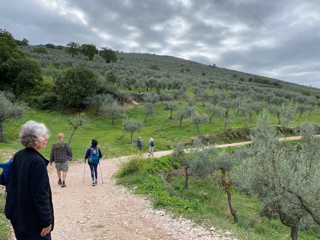 Trevi walk