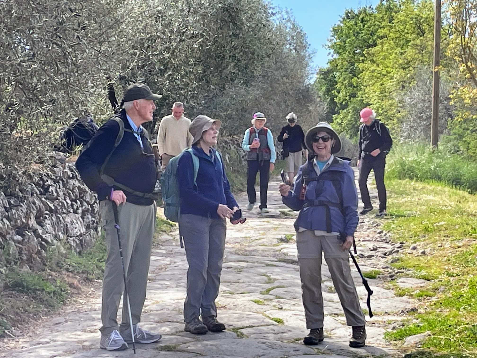 Via Cassia above Lake Bolsena