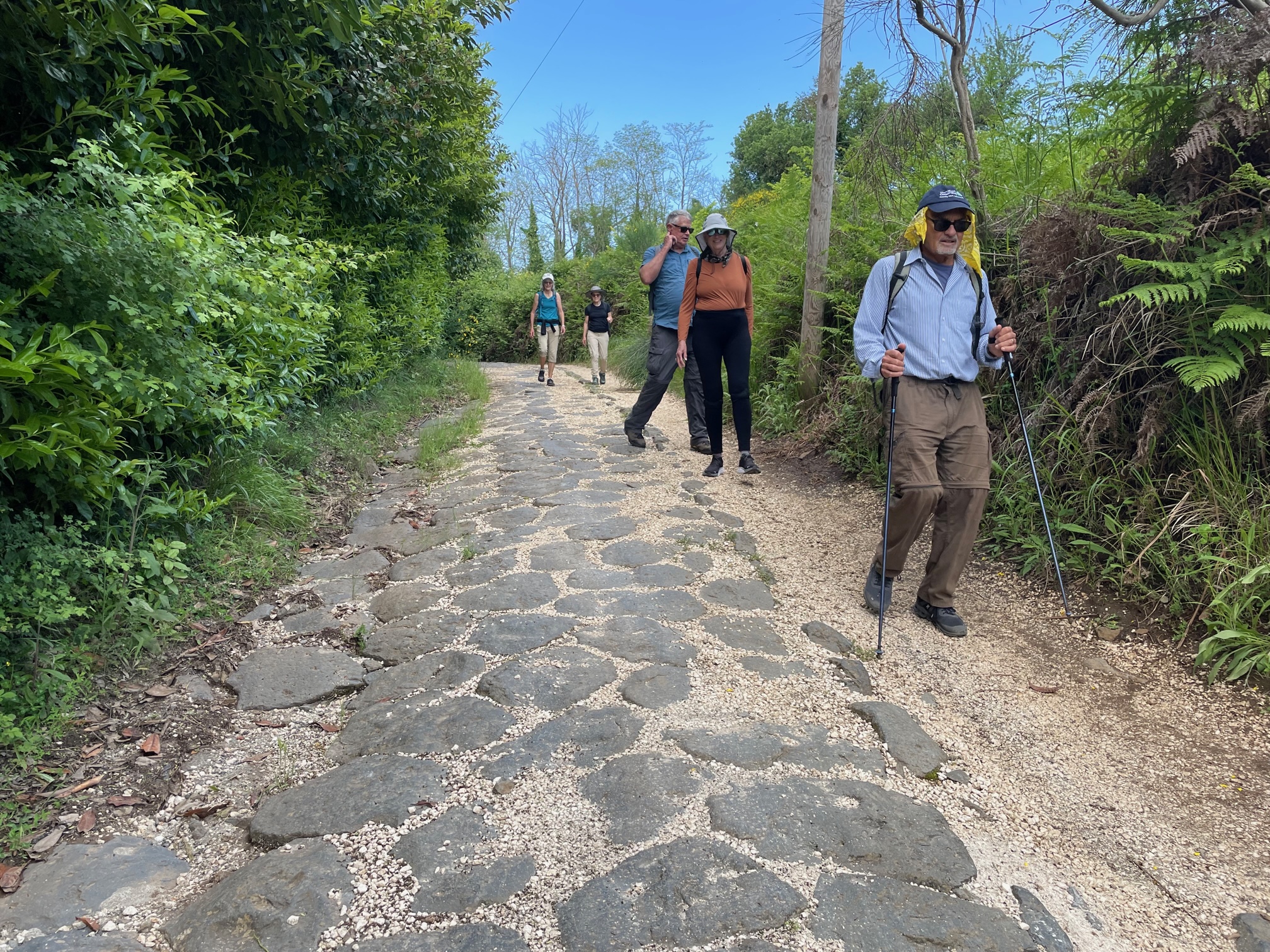 Roman road near Tusculum