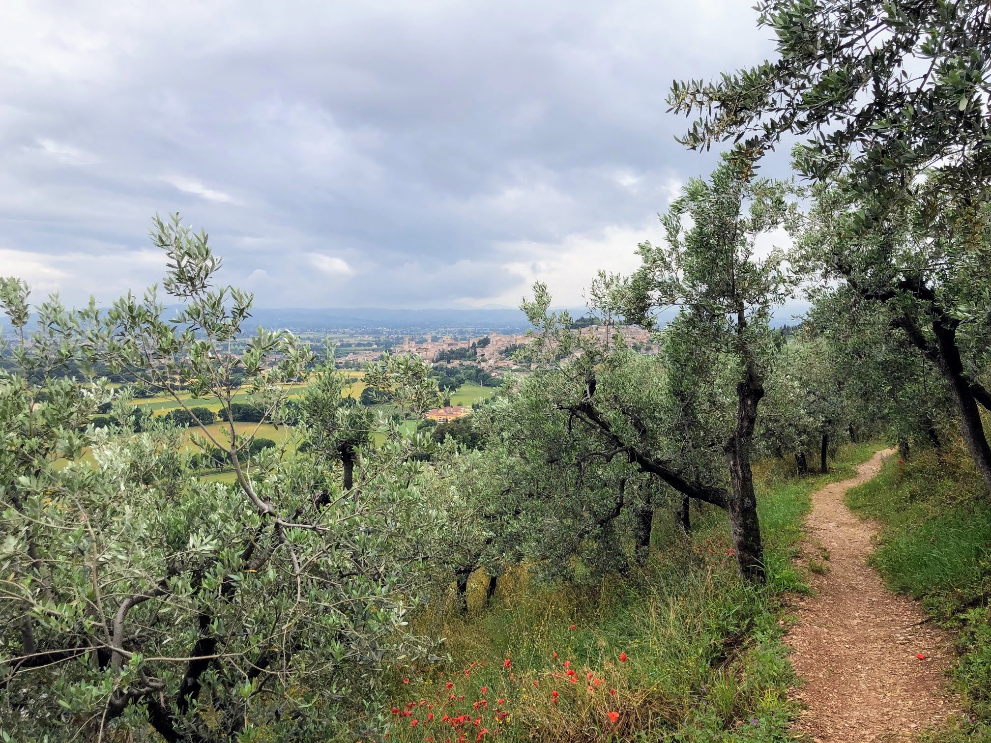Spello