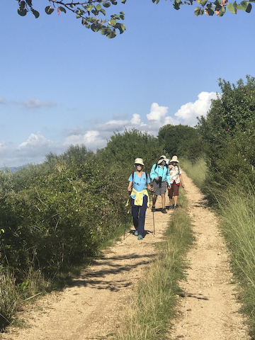 Walking to Ninfa