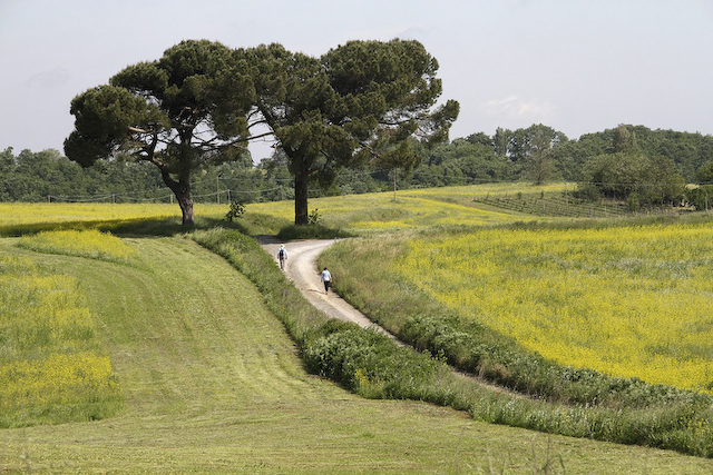 Walking to Orvieto