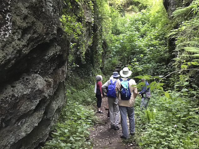 Etruscan road, Sutri